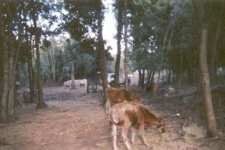 A La Campagne Kır Evi Oreta