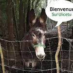 Landsted A La Campagne *