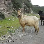 A La Campagne * Oreta