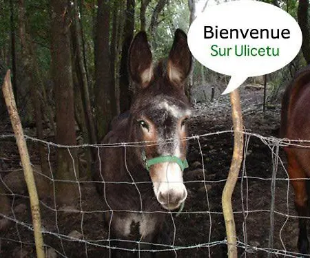 Casa rural U Licetu A La Campagne *
