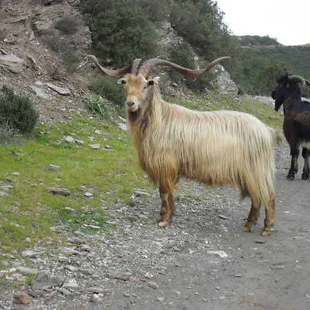 A La Campagne * Oreta