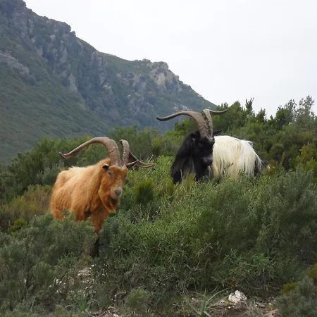 A La Campagne Oreta