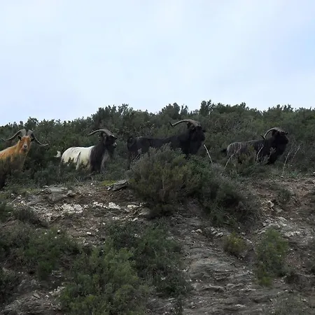 U Licetu A La Campagne *