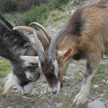 A La Campagne Летний дом *