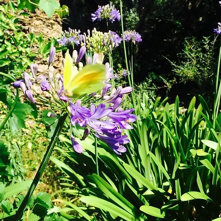 Летний дом A La Campagne *