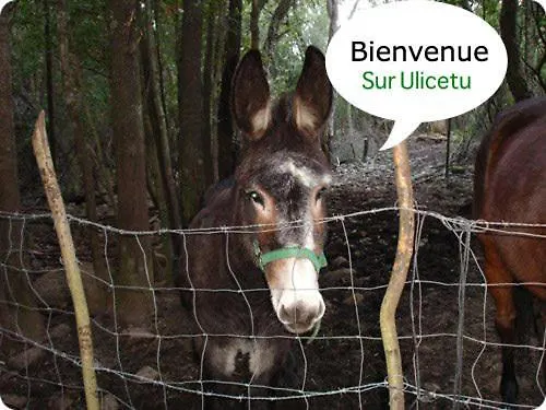 Landsted A La Campagne *