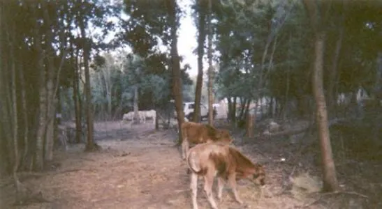 A La Campagne Landsted Oreta