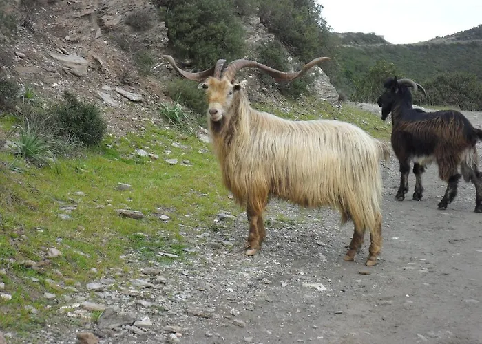 A La Campagne * Oreta