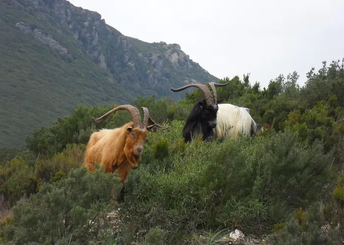 A La Campagne Oreta