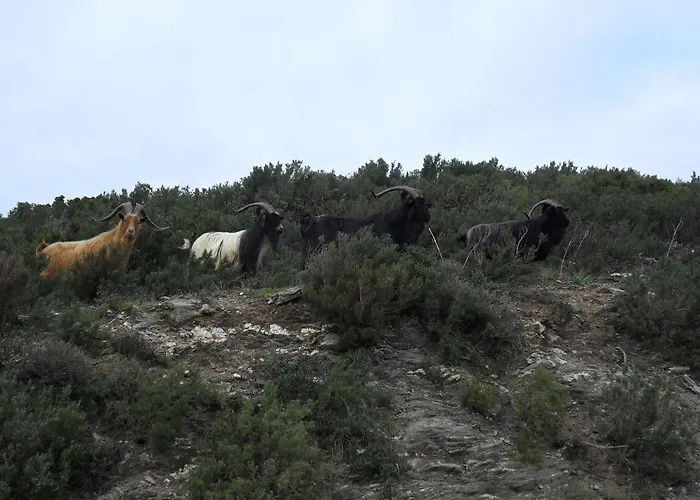 A La Campagne *