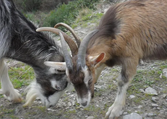 A La Campagne Landsted *