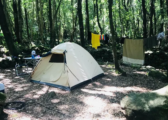 Landsted A La Campagne